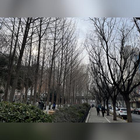山东天气预报最新，强冷空气来袭，局地降温超10℃请注意防范