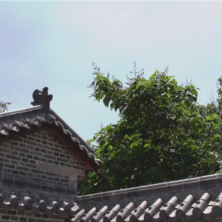 潍坊天气，一缕乡愁与千般冷暖