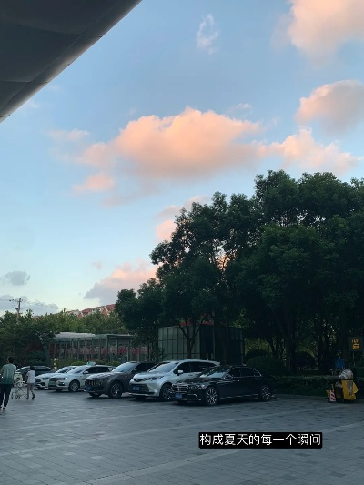 2023年8月，疫情后的盛夏，生活终于活了