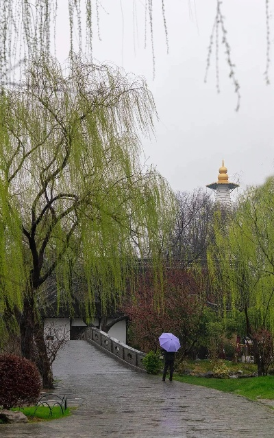 扬州天气预报，春日烟雨中的古城絮语