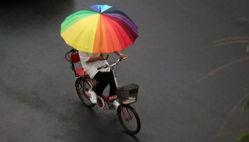 沈阳一周天气变幻莫测,市民出行需备好雨具与防晒装备 沈阳一周天气变幻莫测,市民出行需备好雨具与防晒装备